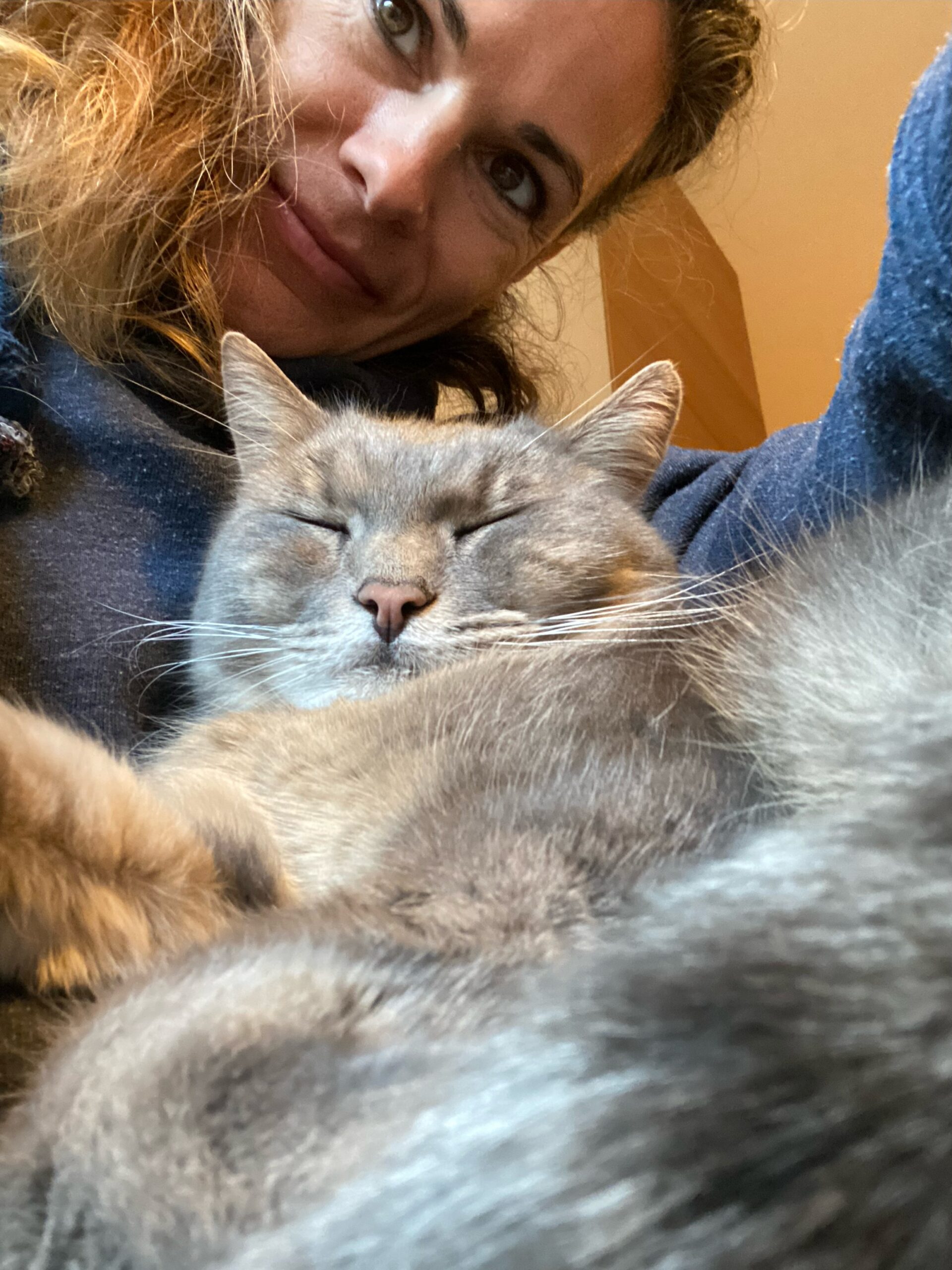 TierverbundenSein Angebot